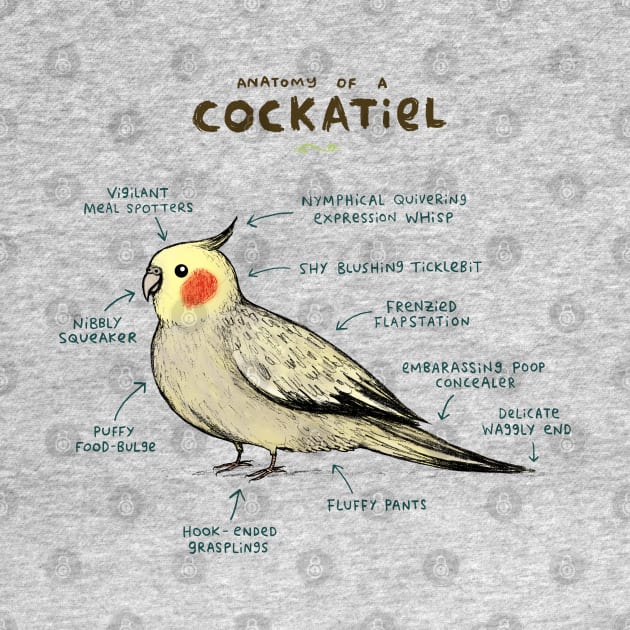 Anatomy of a Cockatiel by Sophie Corrigan